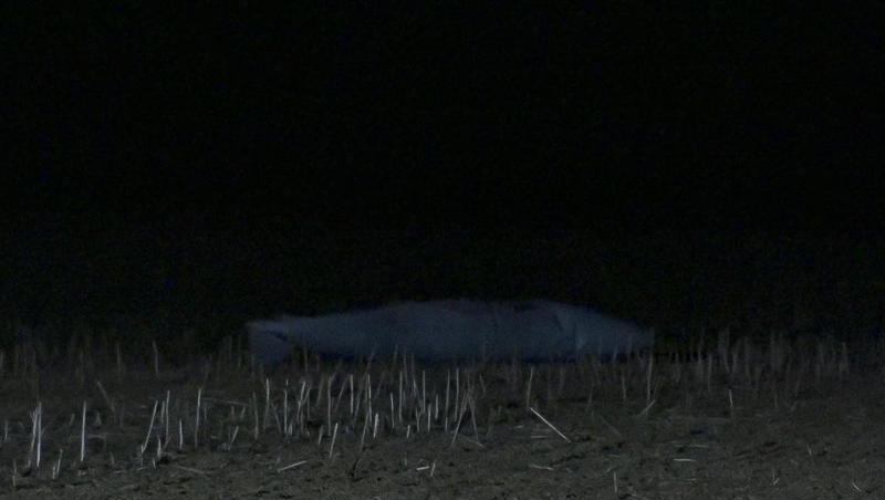 Die leer etwa 130 Kilogramm schweren Tanks sind bei Pansdorf im Kreis Ostholstein entdeckt worden. Die leer etwa 130 Kilogramm schweren Tanks sind bei Pansdorf im Kreis Ostholstein entdeckt worden.