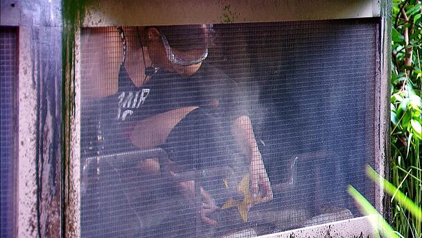 Für Samira Yavuz geht es in kleine Boxen mit vielen Tieren. Für Samira Yavuz geht es in kleine Boxen mit vielen Tieren.