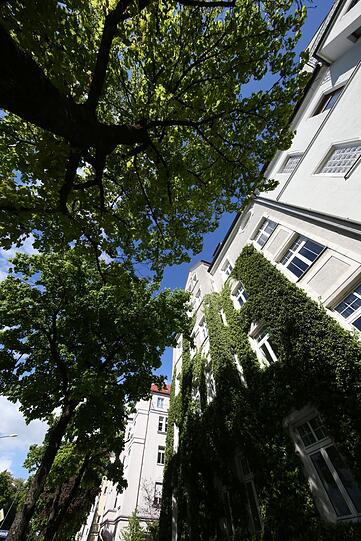 Auch unter Denkmalschutz: herrschaftliche Mietshäuser an der Ungererstraße. Auch unter Denkmalschutz: herrschaftliche Mietshäuser an der Ungererstraße.