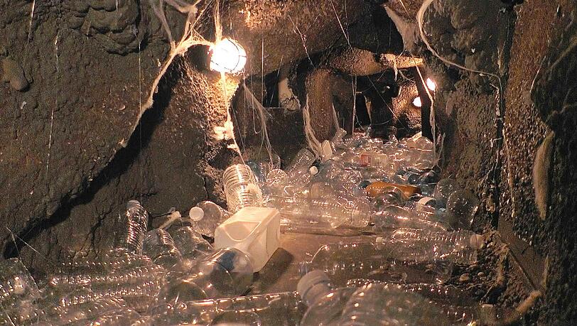 Neben Müll und Fleischabfällen erwarteten Hubert Fella auch kleine Tierchen. Neben Müll und Fleischabfällen erwarteten Hubert Fella auch kleine Tierchen.