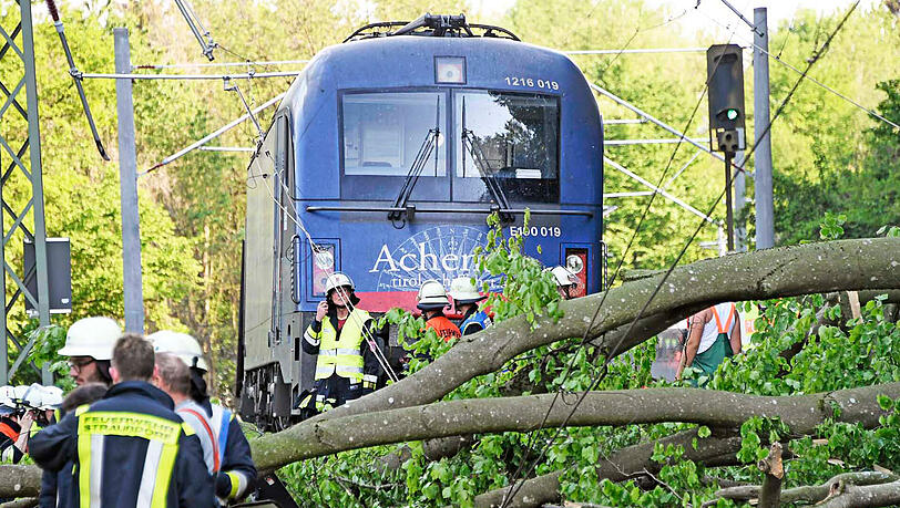 Stundenlange Sperre: Ein umgestürzter Baum hat bei Grafing im Landkreis Ebersberg die Zugstrecke München-Rosenheim blockiert. Im Einsatz waren starke Kräfte des Rettungsdienstes, darunter mehrere Schnelleinsatzgruppen sowie die Feuerwehren Grafing, Nettelkofen, Aßling, Straußdorf, Loitersdorf, Elkofen, Ebersberg und Niclasreuth. Die Bilder von der schwierigen Bergung. Stundenlange Sperre: Ein umgestürzter Baum hat bei Grafing im Landkreis Ebersberg die Zugstrecke München-Rosenheim blockiert. Im Einsatz waren starke Kräfte des Rettungsdienstes, darunter mehrere Schnelleinsatzgruppen sowie die Feuerwehren Grafing, Nettelkofen, Aßling, Straußdorf, Loitersdorf, Elkofen, Ebersberg und Niclasreuth. Die Bilder von der schwierigen Bergung.