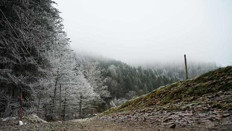 Die Wetteraussichten sind trist. (Symbolbild) Die Wetteraussichten sind trist. (Symbolbild)