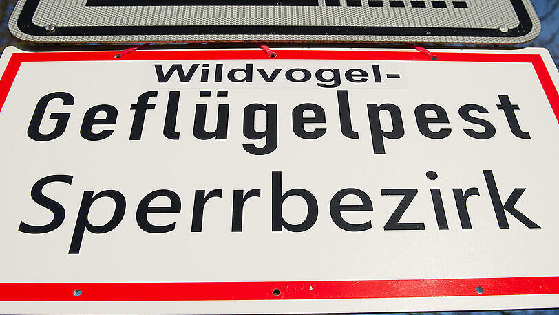 Im schlimmesten Fall müssen Sperrzonen eingerichtet werden. Im schlimmesten Fall müssen Sperrzonen eingerichtet werden.