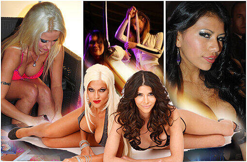 Porno-Stars, Live-Shows und die Nackt-Models Micaela Schäfer und Sophia Wollersheim: Für Freunde der Erotimesse Venus ist ab 17. Oktober wieder Ausnahmezustand in Berlin. Wir zeigen die besten Bilder von der Sexmesse...