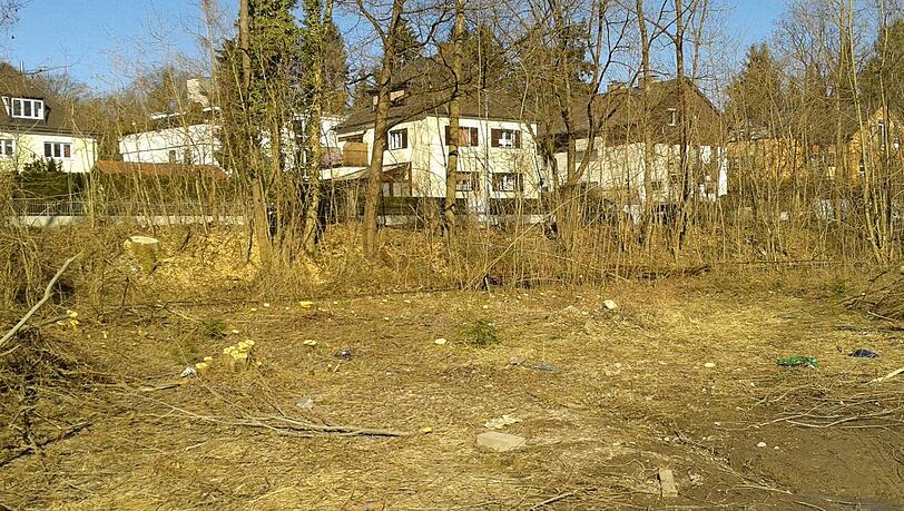 Hier war mal ein Baum- und Busch-Dickicht. Hier war mal ein Baum- und Busch-Dickicht.