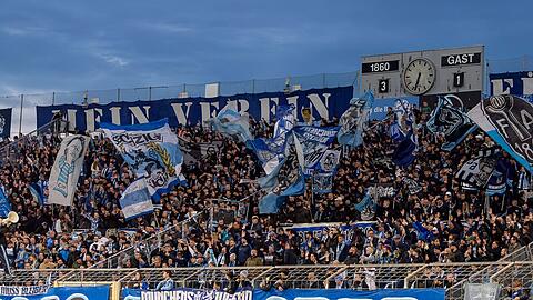 Hier deutet erstmal weiter nichts auf Umabuarbeiten hin: die Westkurve des Sechzgerstadions in diesem Herbst. Hier deutet erstmal weiter nichts auf Umabuarbeiten hin: die Westkurve des Sechzgerstadions in diesem Herbst.