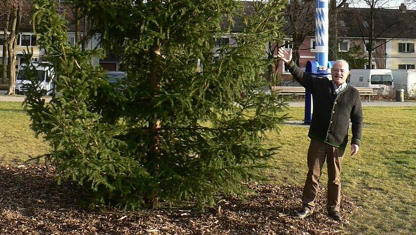 Da steht er, der neue, gut sechs Meter hohe Christbaum, den Stadtrat Otto Seidl am Luise-Kiesselbach-Platz hat aufstellen lassen. Da steht er, der neue, gut sechs Meter hohe Christbaum, den Stadtrat Otto Seidl am Luise-Kiesselbach-Platz hat aufstellen lassen.
