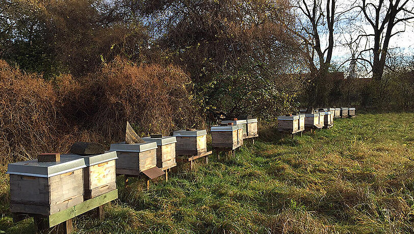 So sehen die Bienenstöcke im geschlossenen Zustand aus. So sehen die Bienenstöcke im geschlossenen Zustand aus.