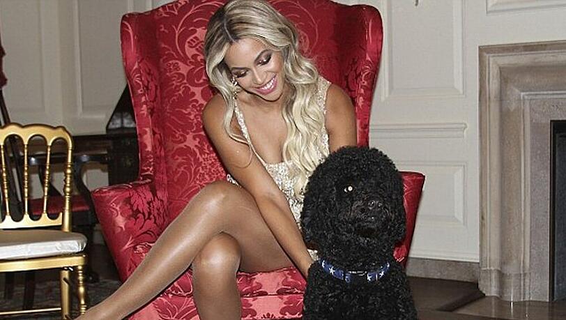 Beyoncé mit dem "First Dog" Sunny im Weißen Haus Beyoncé mit dem "First Dog" Sunny im Weißen Haus