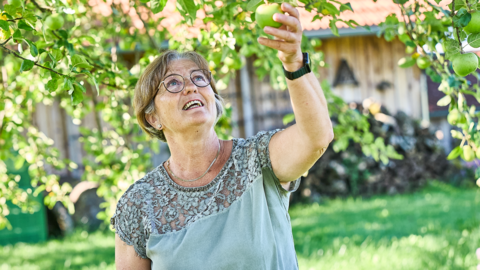 Apfelvielfalt im Lallinger Winkel: Auf der Streuobstwiese von Maria Gruber trifft Tradition auf Nachhaltigkeit. Apfelvielfalt im Lallinger Winkel: Auf der Streuobstwiese von Maria Gruber trifft Tradition auf Nachhaltigkeit.