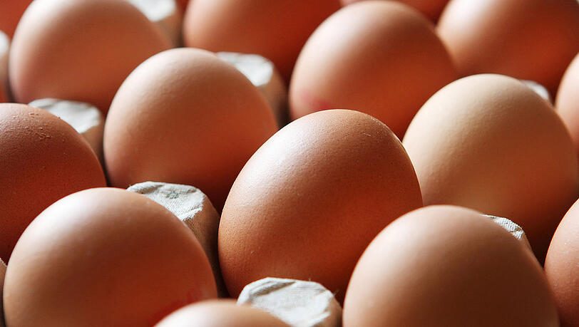 Das Reinigungsmittel "Dega 16", das als Auslöser des Fipronil-Skandals gilt, ist nach jetzigem Kenntnisstand in vier Legehennenbetrieben und einem Junghennen-Aufzuchtbetrieb in Niedersachsen sowie zwei Geflügelzuchtbetrieben in Mecklenburg-Vorpommern eingesetzt worden. Das Reinigungsmittel "Dega 16", das als Auslöser des Fipronil-Skandals gilt, ist nach jetzigem Kenntnisstand in vier Legehennenbetrieben und einem Junghennen-Aufzuchtbetrieb in Niedersachsen sowie zwei Geflügelzuchtbetrieben in Mecklenburg-Vorpommern eingesetzt worden.