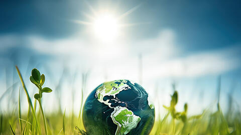 Nachhaltigkeit und Umwelt – für "Gutes vereint" ist es eine Selbstverständlichkeit, auch Projekten in diesem Bereich zu helfen. Nachhaltigkeit und Umwelt – für "Gutes vereint" ist es eine Selbstverständlichkeit, auch Projekten in diesem Bereich zu helfen.