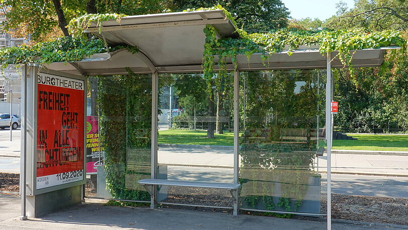 So ähnlich könnten die Haltestellen in München zukünftig aussehen: Eine begrünte Straßenbahnhaltestelle in Wien. (Archivbild) So ähnlich könnten die Haltestellen in München zukünftig aussehen: Eine begrünte Straßenbahnhaltestelle in Wien. (Archivbild)