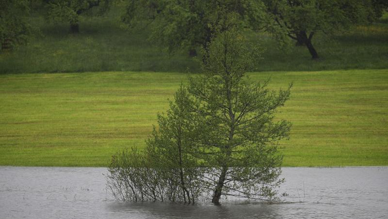 Bäume stehen auf einer überfluteten Wiese. Foto: Karl-Josef Hildenbrand/dpa/Archivbild Bäume stehen auf einer überfluteten Wiese. Foto: Karl-Josef Hildenbrand/dpa/Archivbild