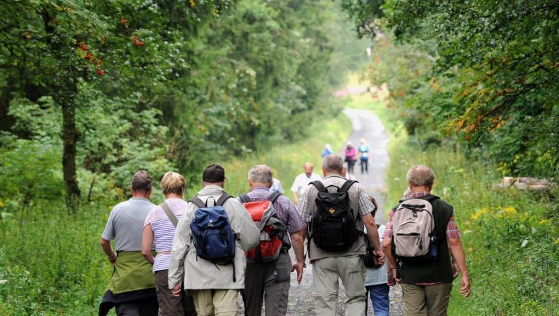 Eine Wandergruppe ist in der hessischen Rhön nahe der Wasserkuppe im Roten Moor unterwegs. Foto: Uwe Zucchi/Archiv Eine Wandergruppe ist in der hessischen Rhön nahe der Wasserkuppe im Roten Moor unterwegs. Foto: Uwe Zucchi/Archiv