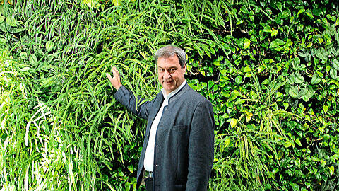 Markus Söder (CSU) vor einem hängenden Garten in der Staatskanzlei. Markus Söder (CSU) vor einem hängenden Garten in der Staatskanzlei.
