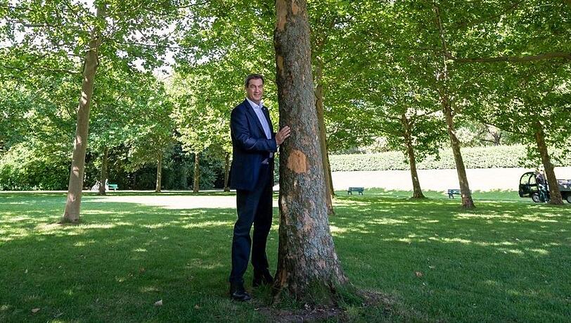 Idyllisch: Ministerpräsident Markus Söder (CSU) mit einem Baum im Hofgarten hinter der Bayerischen Staatskanzlei. Idyllisch: Ministerpräsident Markus Söder (CSU) mit einem Baum im Hofgarten hinter der Bayerischen Staatskanzlei.