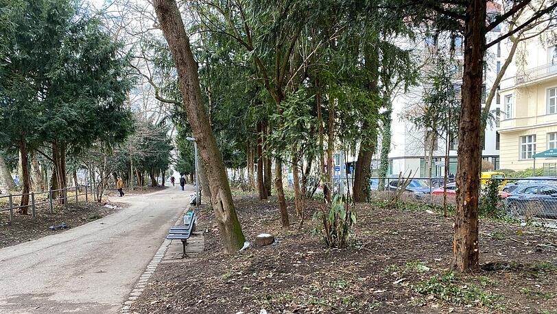 Im Nußbaumpark beim Sendlinger Tor bleiben nach umfassenden Maßnahmen der Stadt fast nur noch Bäume übrig. Im Nußbaumpark beim Sendlinger Tor bleiben nach umfassenden Maßnahmen der Stadt fast nur noch Bäume übrig.