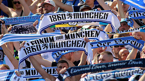 Die Löwen-Fans werden zahlreich in Geiselbullach erscheinen. Die Löwen-Fans werden zahlreich in Geiselbullach erscheinen.