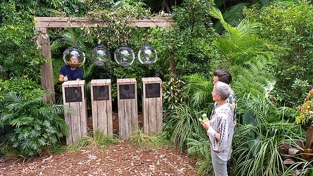 Gil Ofarim in seiner finalen Dschungelprüfung. Gil Ofarim in seiner finalen Dschungelprüfung.