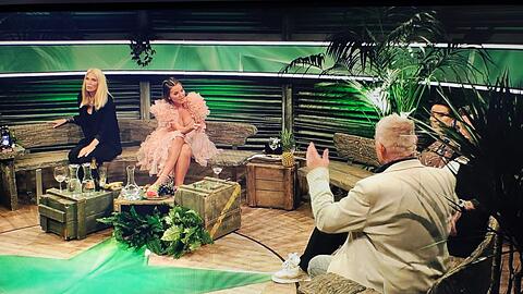 Heinz Hoenig rastet im Dschungelcamp-Nachspiel aus Heinz Hoenig rastet im Dschungelcamp-Nachspiel aus