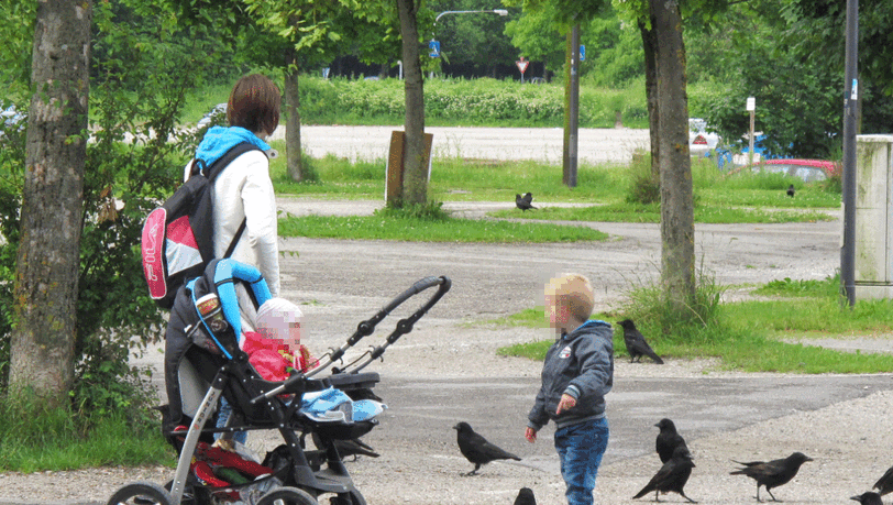 ... an Szenen aus "die Vögel", schreibt er. Dabei blieb alles harmlos. Doch der kleine Bub fand das offenbar nicht lustig. ... an Szenen aus "die Vögel", schreibt er. Dabei blieb alles harmlos. Doch der kleine Bub fand das offenbar nicht lustig.