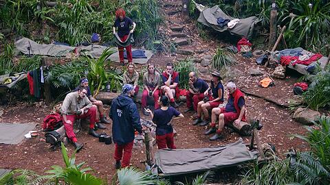 Zurück in Deutschland geht der Dschungelcamp-Streit weiter Zurück in Deutschland geht der Dschungelcamp-Streit weiter