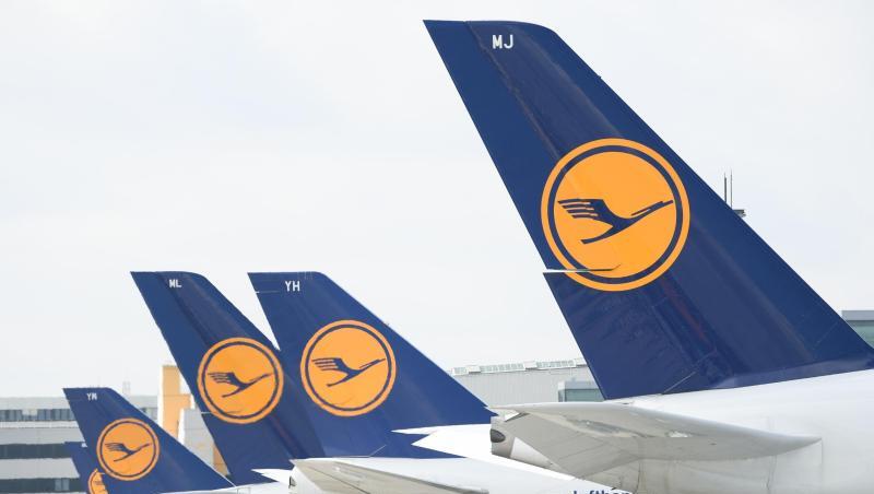 Lufthansa-Maschinen mit dem Kranich-Logo stehen am Frankfurter Flughafen. Lufthansa-Maschinen mit dem Kranich-Logo stehen am Frankfurter Flughafen.