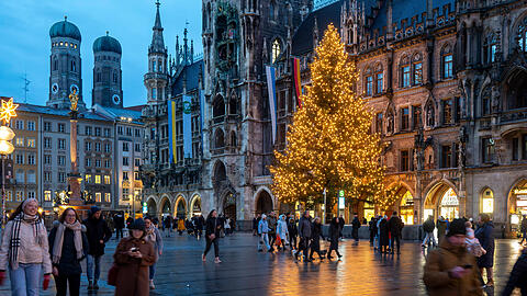 So hat der beleuchtete Christbaum letztes Jahr vor dem Münchner Rathaus am Marienplatz ausgesehen – kurz vor dem Abbau Anfang Januar. Dieses Jahr wird der neue Baum aus Tirol angeliefert. So hat der beleuchtete Christbaum letztes Jahr vor dem Münchner Rathaus am Marienplatz ausgesehen – kurz vor dem Abbau Anfang Januar. Dieses Jahr wird der neue Baum aus Tirol angeliefert.