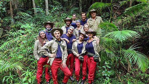 Die Promis im aktuellen Dschungelcamp. Die Promis im aktuellen Dschungelcamp.