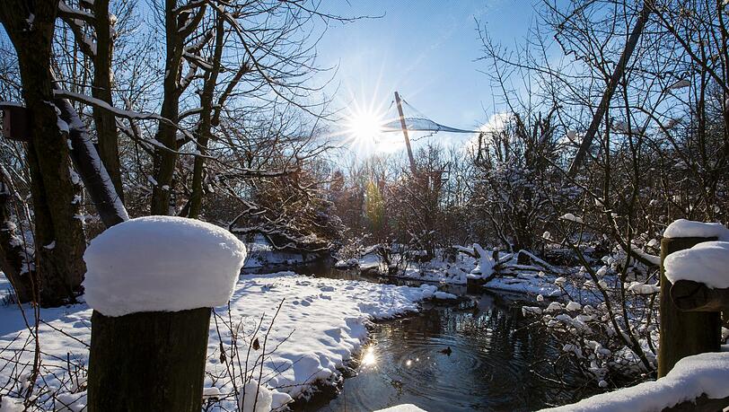 Im Tierpark Hellabrun herrscht zur Zeit eine ganz besondere Atmosphäre. Im Tierpark Hellabrun herrscht zur Zeit eine ganz besondere Atmosphäre.