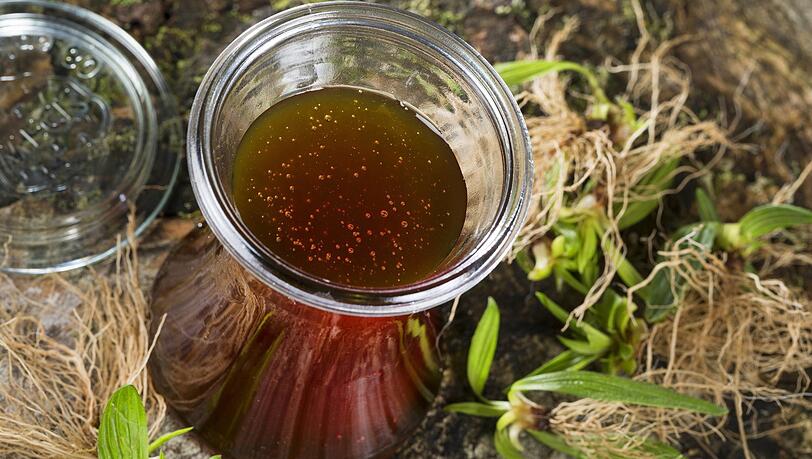 Aus Spitzwegerich lässt sich auch ein Sirup herstellen. Aus Spitzwegerich lässt sich auch ein Sirup herstellen.