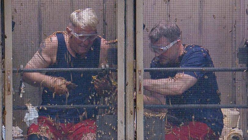 Ein seltener Moment in Action bei der Dschungelprüfung: Normalerweise chillen Hubert Fella (l.) und Hardy Krüger lieber. Ein seltener Moment in Action bei der Dschungelprüfung: Normalerweise chillen Hubert Fella (l.) und Hardy Krüger lieber.