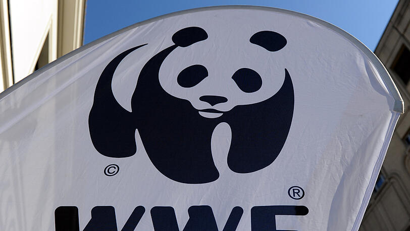 Der WWF gehört zu den großen Umweltorganisationen weltweit. Der WWF gehört zu den großen Umweltorganisationen weltweit.