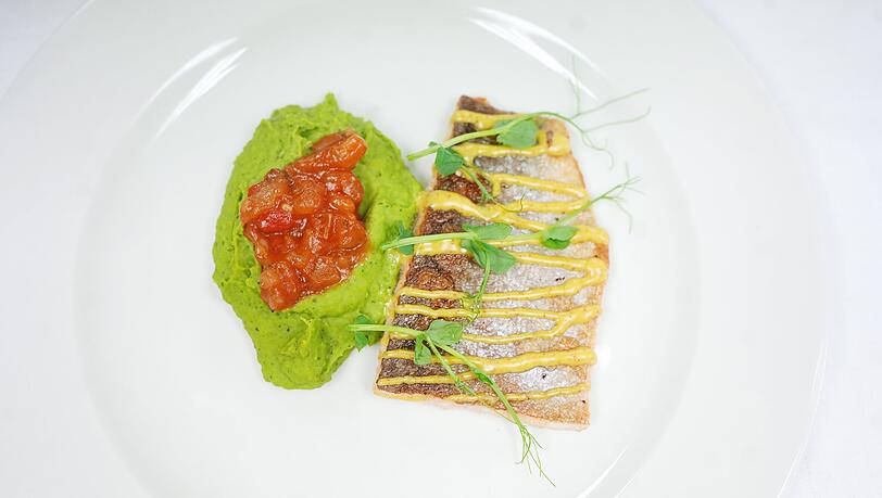 Erster Gang: Lachsforellenfilet: Marinierte Lachsforelle, Zitronenpfeffer, Erbsen-Minz-Pürée, Schmortomate, Currydip Erster Gang: Lachsforellenfilet: Marinierte Lachsforelle, Zitronenpfeffer, Erbsen-Minz-Pürée, Schmortomate, Currydip