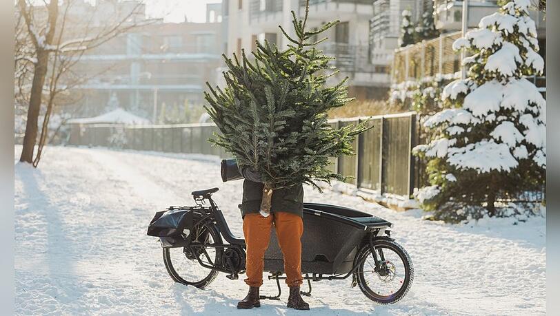Bei der Wahl des Weihnachtsbaums sollte nicht nur die Optik, sondern auch die Umweltverträglichkeit mitgedacht werden. Bei der Wahl des Weihnachtsbaums sollte nicht nur die Optik, sondern auch die Umweltverträglichkeit mitgedacht werden.