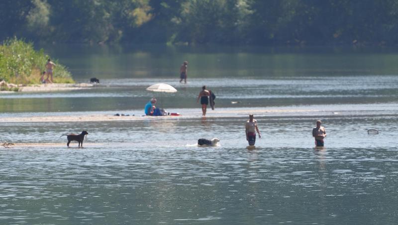 Urlauber baden mit ihren Hunden in einer Bucht am Mittelrhein. Urlauber baden mit ihren Hunden in einer Bucht am Mittelrhein.