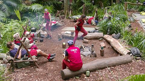 Im Dschungelcamp kommt es an Tag 11 zu einer Rettungsaktion. Im Dschungelcamp kommt es an Tag 11 zu einer Rettungsaktion.