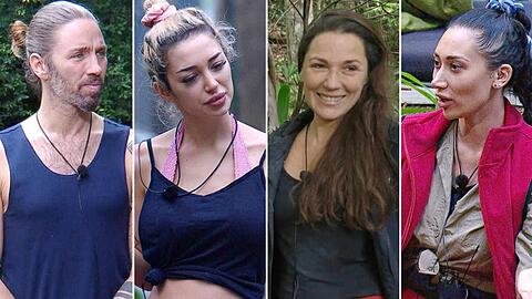 Wer zählt im Dschungelcamp 2026 zu den Gewinnern und Verlierern? Wer zählt im Dschungelcamp 2026 zu den Gewinnern und Verlierern?